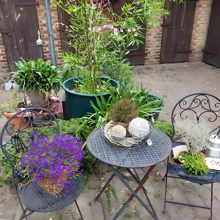 Apartment Neu! Fiedler I Finsterwalde