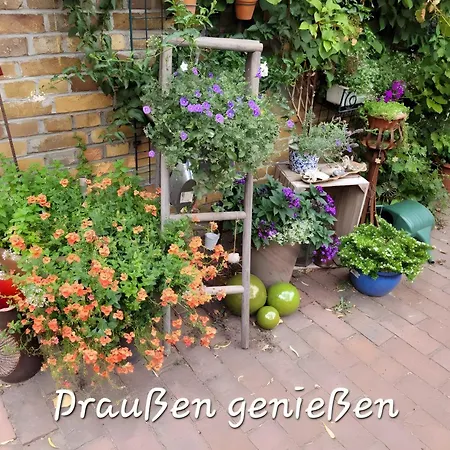 Neu! Fiedler I *
